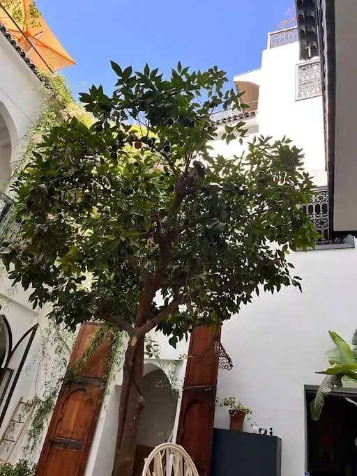 Riad Dar Fannan En Exclusivite Marrakesh