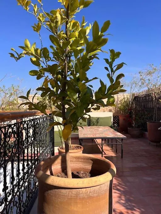 Riad Dar Fannan En Exclusivite Marrakesh Marokko